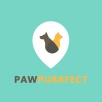 Pet care services in Mumbai are right at your doorstep for pet grooming, training, boarding, walking, pathology, sitting...