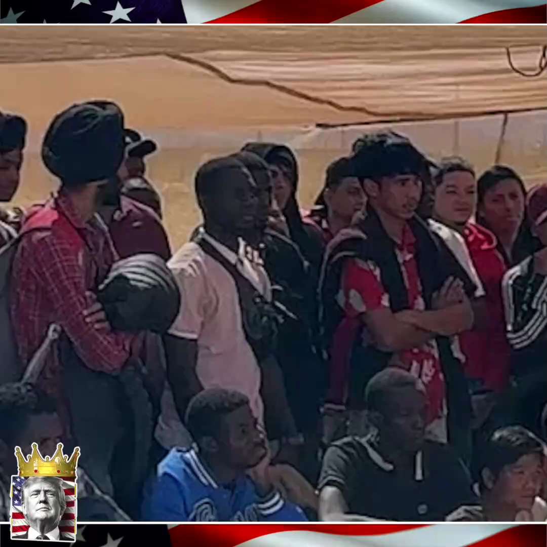 Steve Bannon: Watch those videos —THAT is coming to the United States of America!