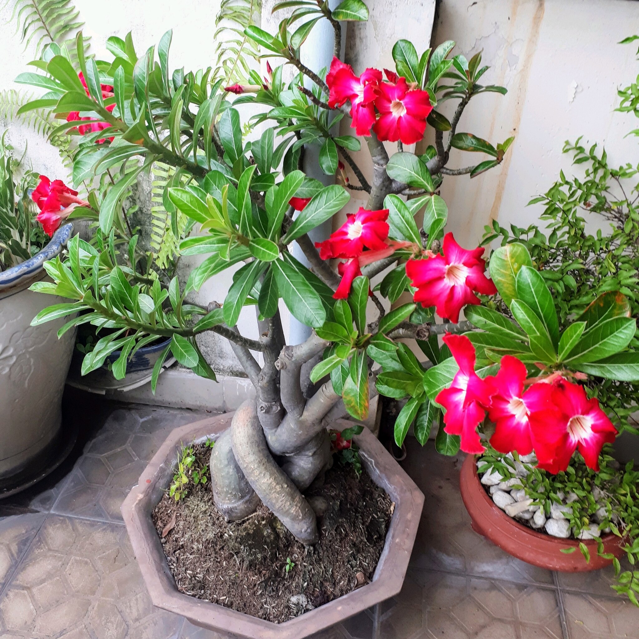 View Mr.Strong ✔'s post on GETTR. Join the discussion, share your thoughts, and connect with the community.