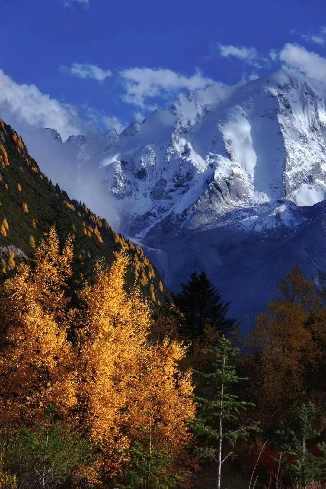 查看 Margery 在 GETTR 上的帖子。加入讨论，分享您的想法，与社区联系。