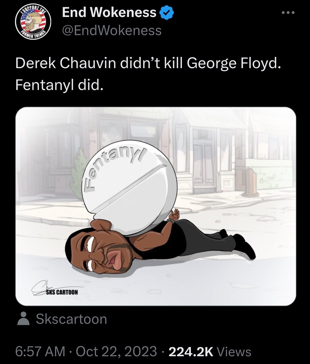 DEREK DID NOTHING WRONG AND WAS USED BY THE LEFT TO MAKE AN EXCUSE TO START RIOTS IN ALL THE DEMOCRA...