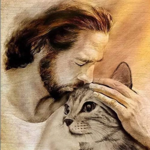 Visit bluebutterfly29's profile on GETTR. View their posts, photos, videos, and connect with them on the social platform.