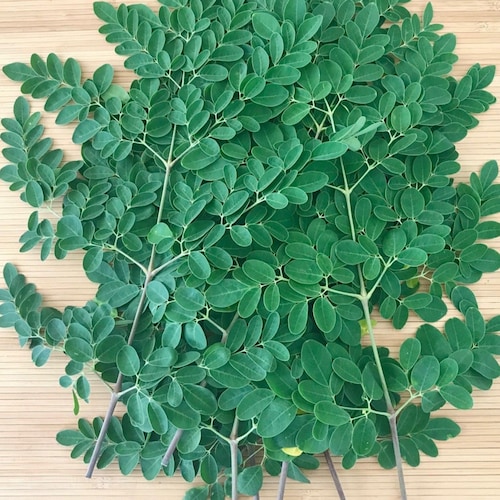 We make natural creams with Moringa oil