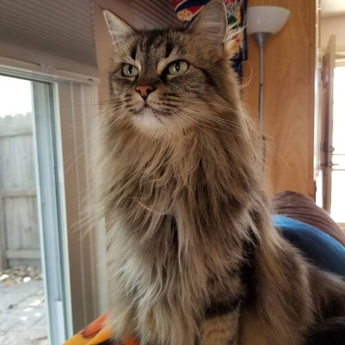 Damn Yankee...moved south & stayed. Love all teams Boston/New England. Avid Sci-fi fan.