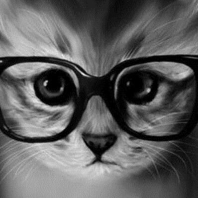 Libs are bat shit crazy!!