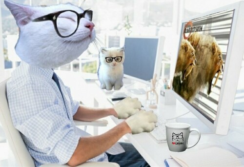 HE'S HEREEEEEE!!!!
❤❤❤❤😂😂😂😂