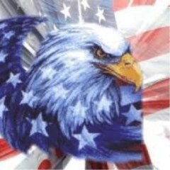 Patriot, Christian, veteran.For: MAGA, Israel, the wall, military,blue lives, NRA Against: Amnesty, Sharia, RINOS, socialism, PC/ Comments are my opinion/IFBAP