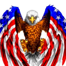 Happily Married, friend, Mother, sister, American, Human. Need I say more. Equal rights for everyone, man, woman, and ch...