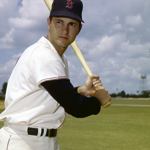 Huge Trump Fan & follower