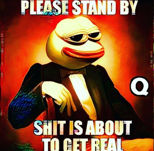 Imaginez l'indignation absolue des médias, si DJT Jr était accusé de fraude, de corruption, de blanc...