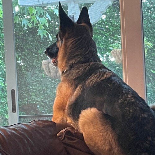 Visit GTSpipe1's profile on GETTR. View their posts, photos, videos, and connect with them on the social platform.