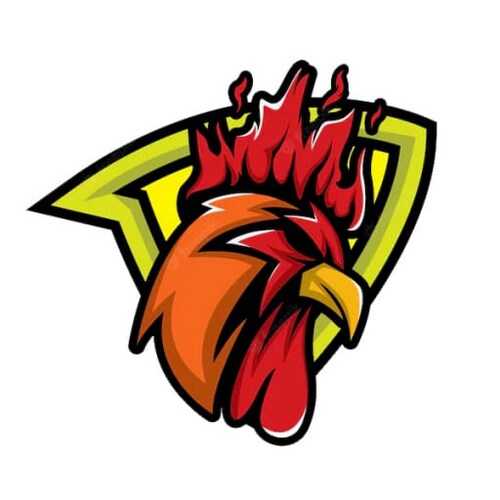 Xemdagatructiep - Xem đá gà trực tiếp, xem giải trí. Chia sẻ kiến thức nuôi gà.

website : https://xemdagatructiep.com...