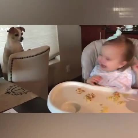 Babies and Dogs Compilation
It will melt your heart!

👉 Follow @EpochBright for more interesting co...