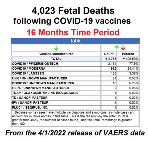 VAERS query from April 2022 tells it all.  Pregnant women routinely get TDAP and inactive FluVax.   ...