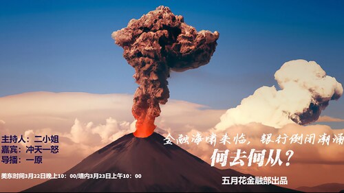 五月花金融《钱里钱外》：金融海啸来临，银行倒闭潮涌，何去何从？#金融 #海啸    主持：二小姐  @yipiao   嘉宾：冲天一怒 @peterT   导播：一原Yve @onedreamland