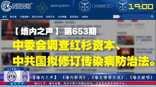 墙内之声 第653期 中委会调查红杉资本、中共国拟修订传染病防治法。