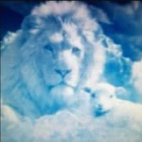 亲爱的华夏儿女和爱好和平的正义人士，让我们一起为消灭共产国际的黑暗邪恶而努力协作战斗！