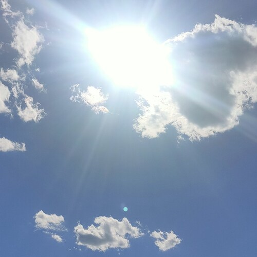 Visit 陸平's profile on GETTR. View their posts, photos, videos, and connect with them on the social platform.