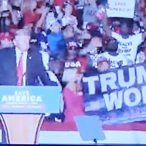 Visit Michele19's profile on GETTR. View their posts, photos, videos, and connect with them on the social platform.