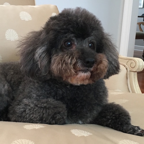 Visit Beckyg's profile on GETTR. View their posts, photos, videos, and connect with them on the social platform.