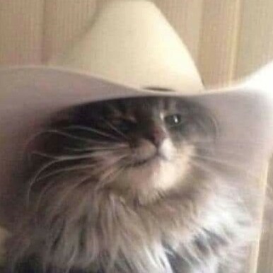 Gamer and lover of all things science fiction, fantasy,  horror, 80s synth music, and cats. 💙💜  A Libertarian Centrist...