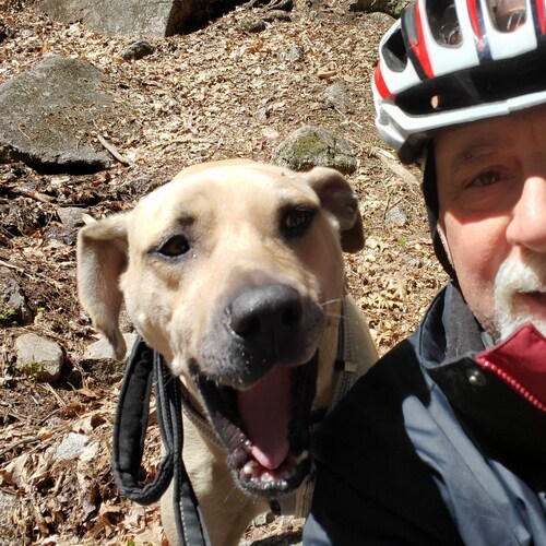 Proud to be an American, and a Constitutional Conservative!!  I'm not WOKE, and I am a deplorable.  Yes, the election wa...