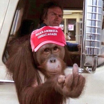 President Trump Supporter #1A # 2A I support our Troops and Law Enforcement #MAGA #AmericaFirst