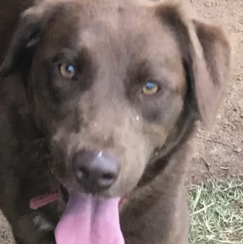 Keep the faith, God does not forsake his followers, there you will find the truth.