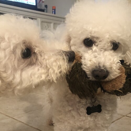 I love America and everything it stands for! AMERICA FIRST 🇺🇸🇺🇸🇺🇸 #MAGA