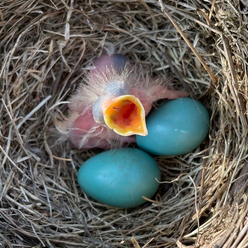 Jesus follower. Husband. Father.