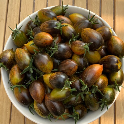 Buy me plants and tell me you don’t trust the government