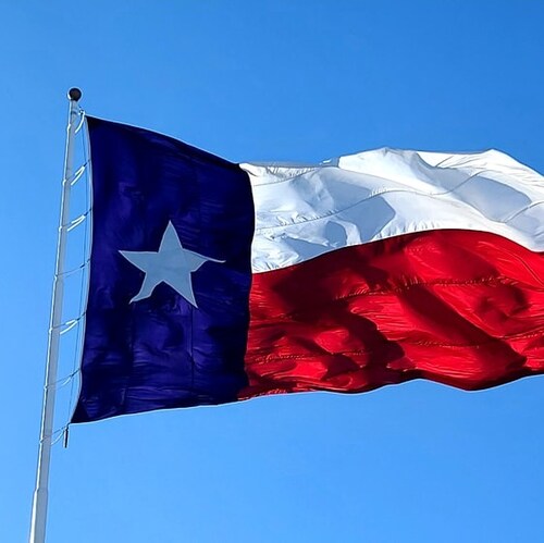 Political Pursuits looks at political gamesmanship with Lou Ann Anderson.