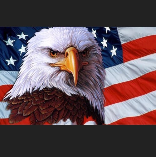 unafraid, unapologetic, realist, patriot