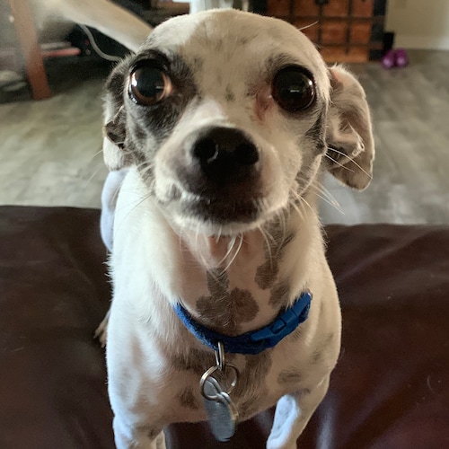 let’s take our country back.