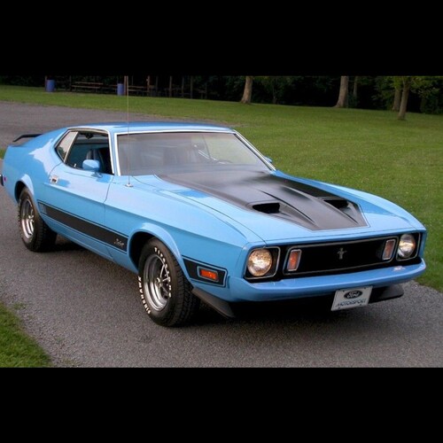 You will be blocked if you follow me for no reason. If I say something profound and you like it, I might not block you f...