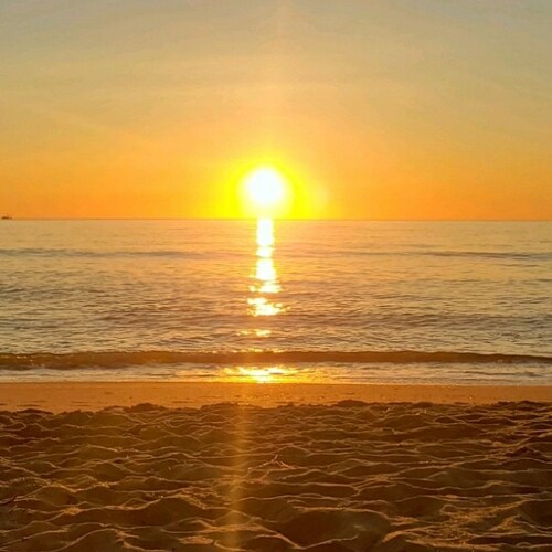 Constitutional Conservative,  Patriot 🗽, Christian ✝️,  #2A, #MAGA, Pro Life, God Bless the USA 🇺🇸