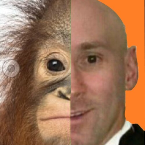 ⚠️ANNONCE AUX SKATERS DE MORAINVILLERS ⚠️Les keufs 🐖 tournent en balle dans la cité😡😡😡😡 éviter ...