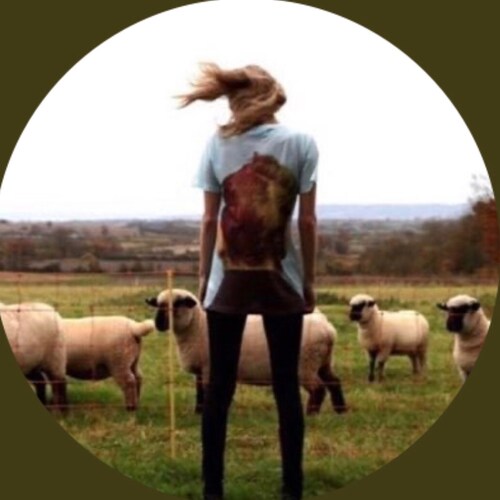 herder of sheep. independent. usually over the target & focused on character.