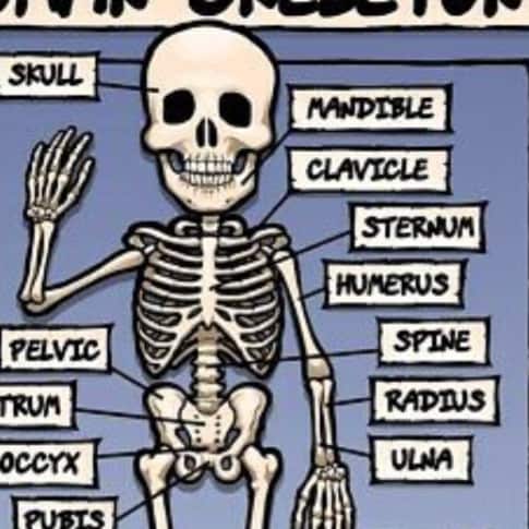 #Brexit, Anti Socialist, Anti EU, #DrainSwamps, Anti Woke,#gbnews,#WarRoomPandemic, Trump-Touted treatment: #hydroxychlo...