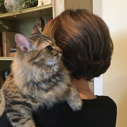 Grace dependent Christian
also deplatformed from twitter 2x without any notice or reason. Fringe Minority