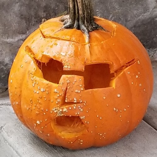 HODL bitcoins and chicken pick Telecasters