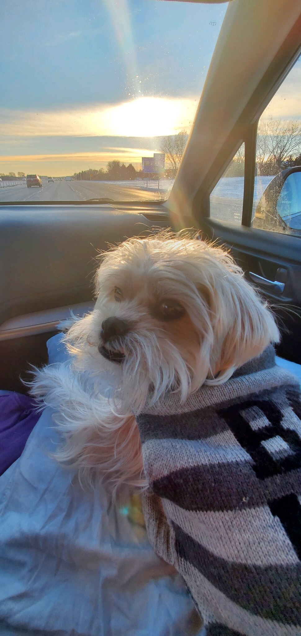 Cash is not a fan of negative zero weather. I don't blame him. I've never been a fan of winter. But ...