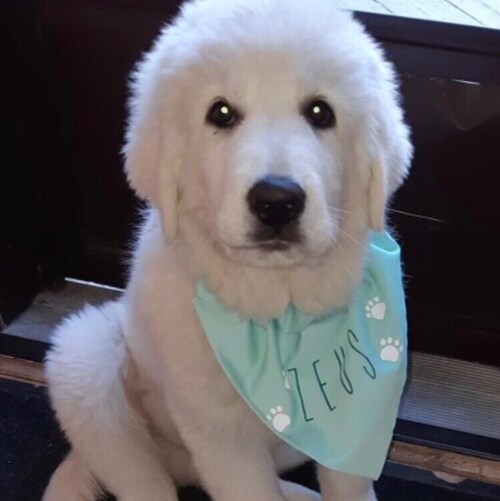 just another redneck that can read 😎
PRO GOVERNMENT 🇨🇦 ANTI CORRUPTION PRO 👮 ANTI AUTHORITARIAN PRO MILITARY 🇨🇦ANT...