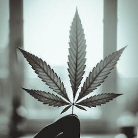 It’s up to US to fix this mess and it’s time to shit, or get off the pot. 

Wife, mom, healthcare professional, cannabis...