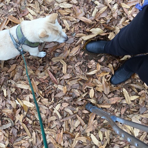 Learn to love God and fear God. Practice godliness and loving kindness.