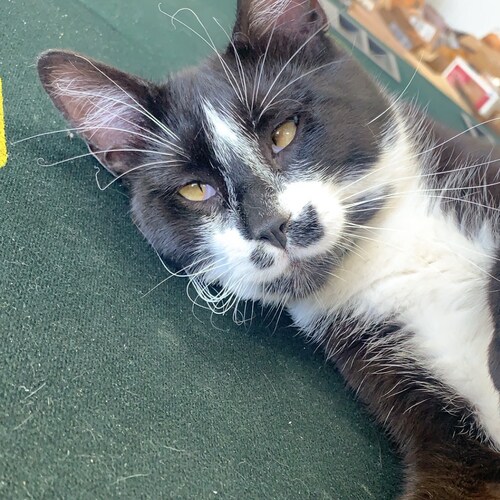 Minnesota’s biggest patriot. Thoughts, opinions, and ideas are my own