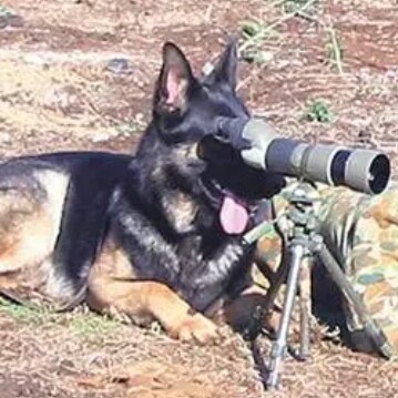 Just a very good boy that broke out of their psyops and sees them for what they really are WOOF