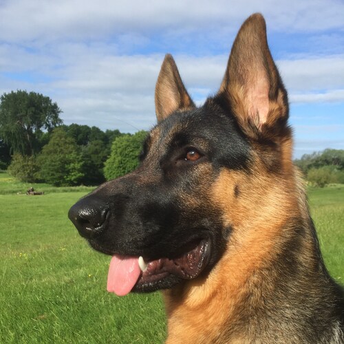 The only people mad at you for telling the truth are those who live a lie.