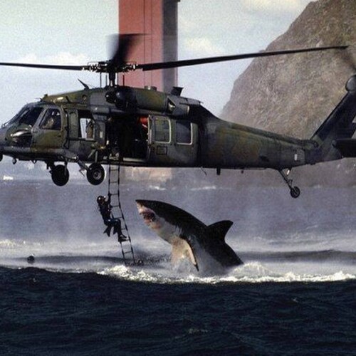 I’m not here to tell you about who I am. I’m here to voice reason and concern about RINO and communist entry into the US...