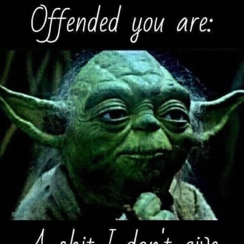 US Army combat veteran, Ft Campbell, Ky, 101st Airborne Division. Christian, but with a Lion Temperance, Small business ...